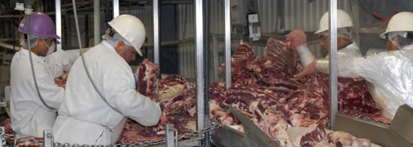 Workers at a slaughterhouse 