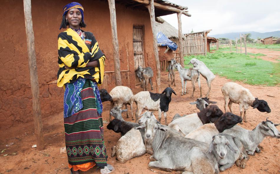 Lady with goats as an example of agroecology