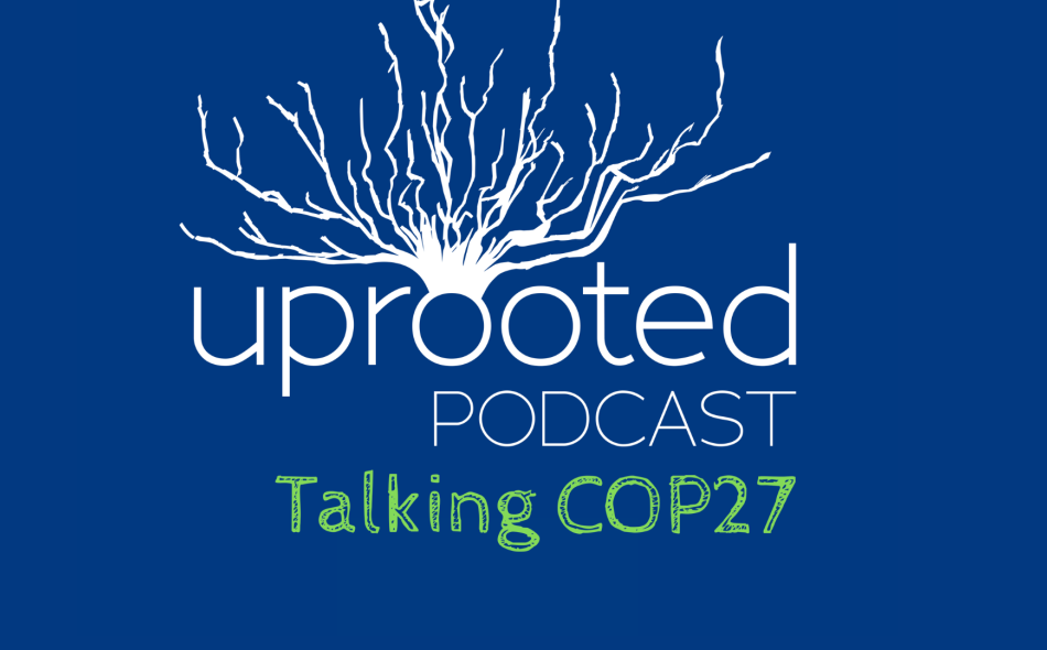Uprooted Podcast: Talking COP27