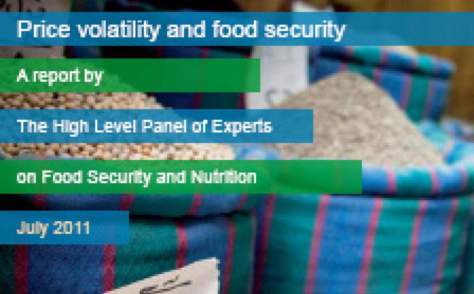 Price volatility and food security