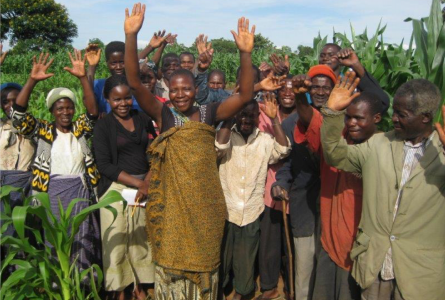 Malawi Farmers
