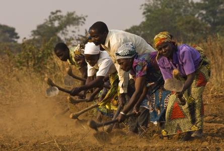 Farmers in Africa hoeing a field 