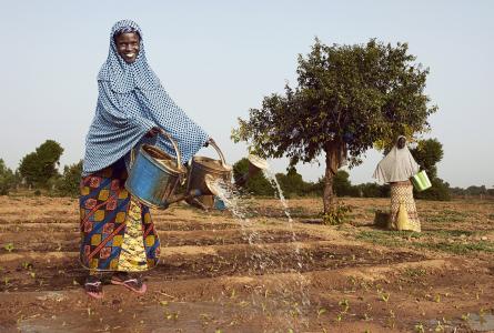 Woman farmer in Niger