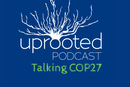 Uprooted Podcast: Talking COP27