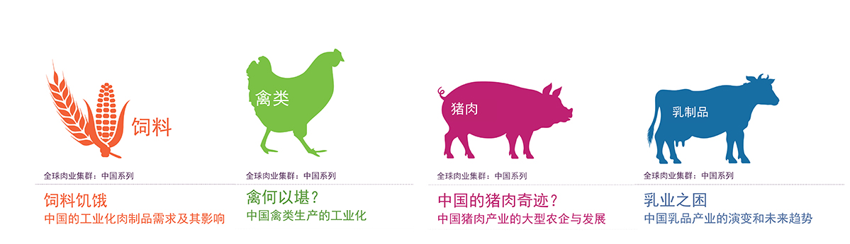 China meat series covers 