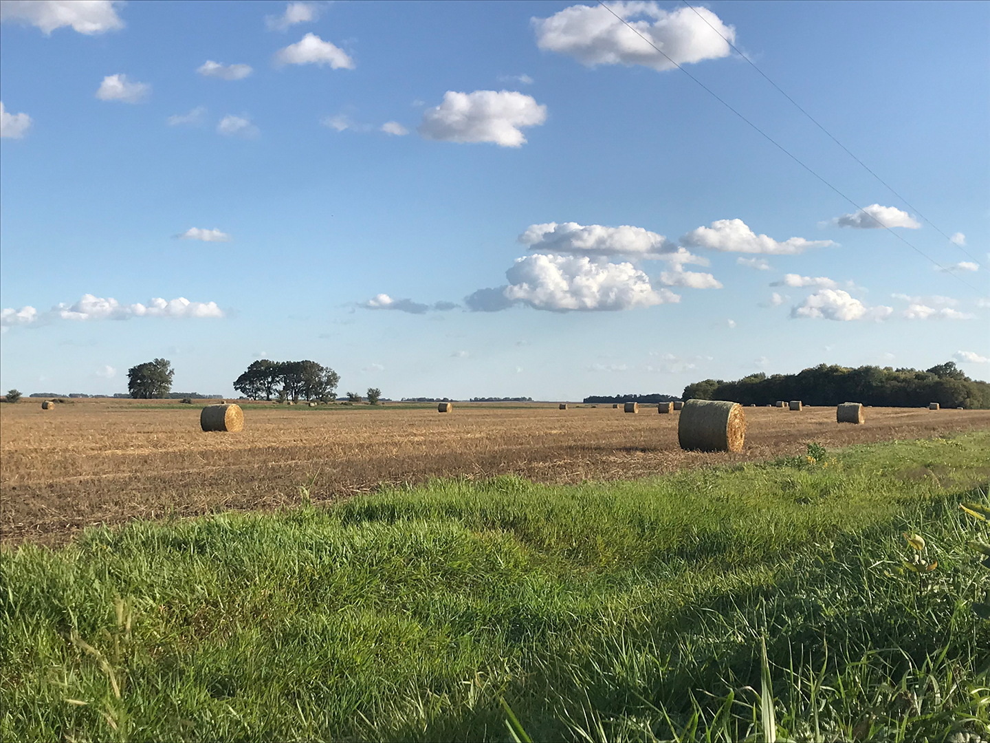 Bales in western Minnesota