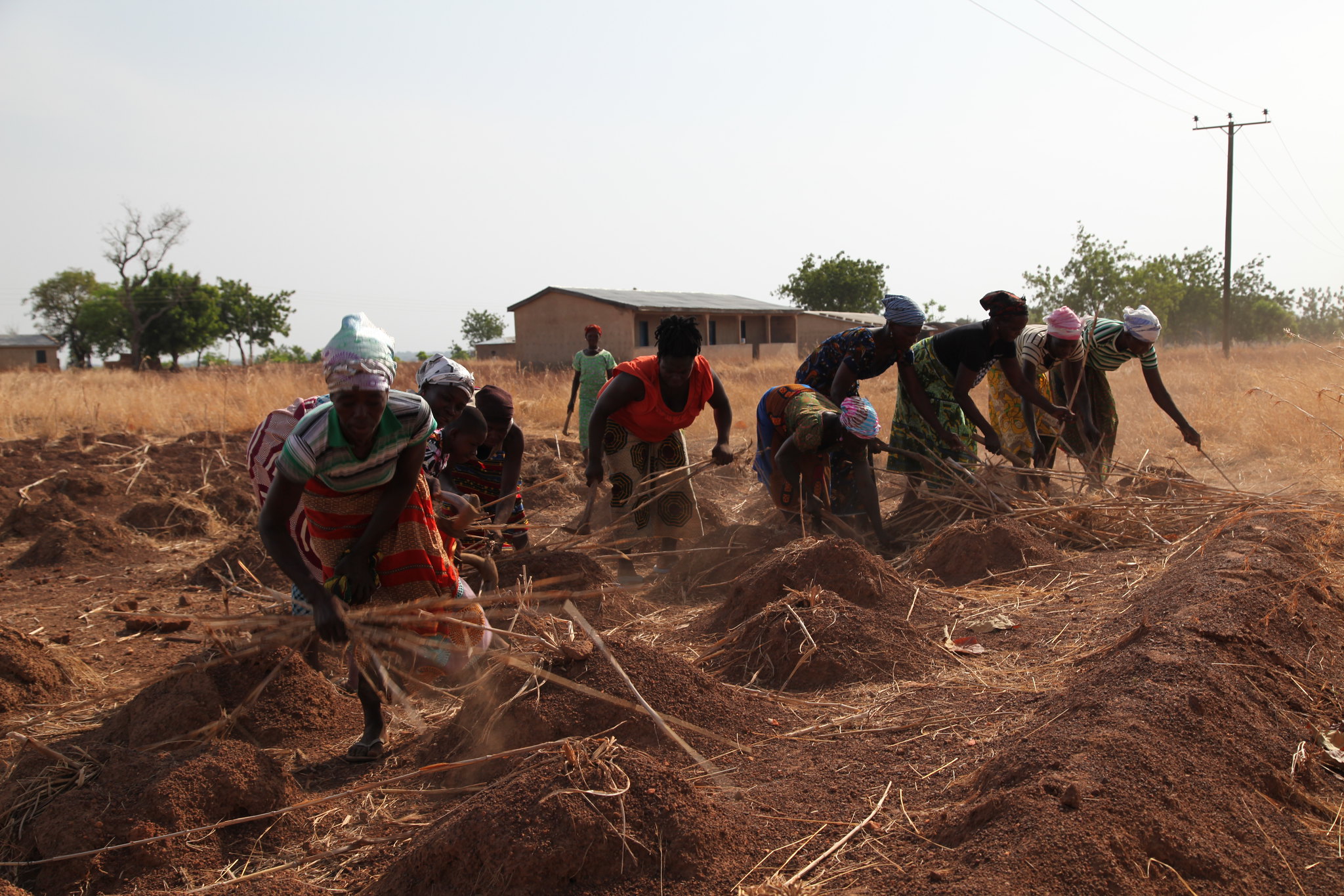 Agroecology farm work in Ghana