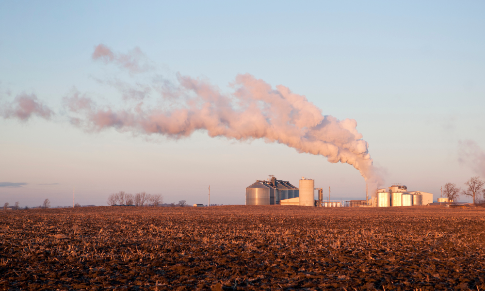 Image of an ethanol plant smokestack next to a corn field