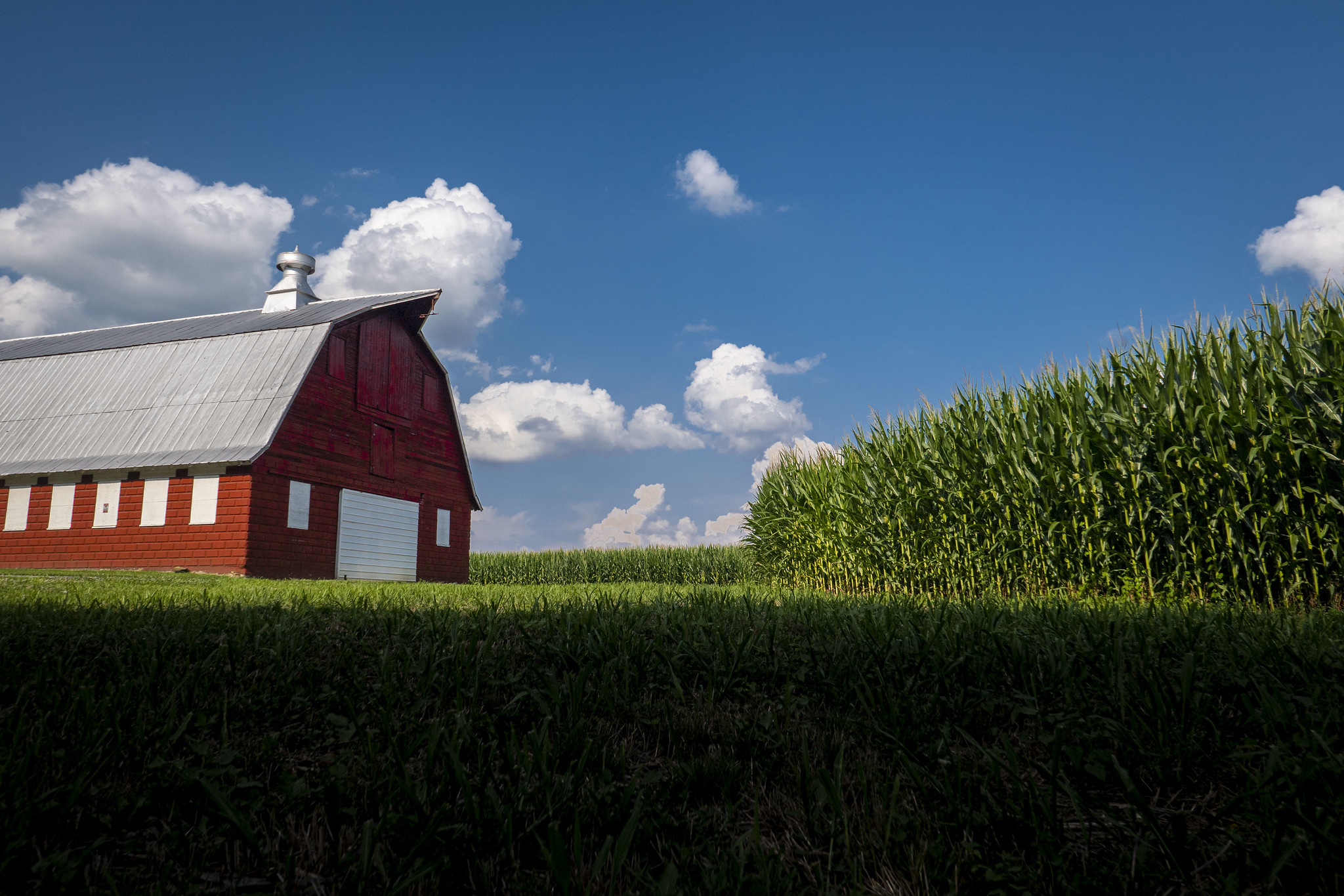 Farm bill 101 webinar