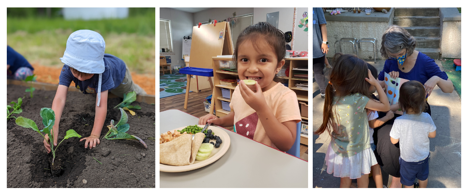 3 image collage: image of child gardening; image of child eating a plate of local foods; image of IATP's Erin McKee reading a book about vegetables to a group of early care children.