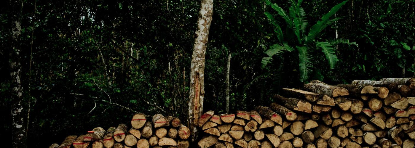 Trade flows and trade policies driving deforestation