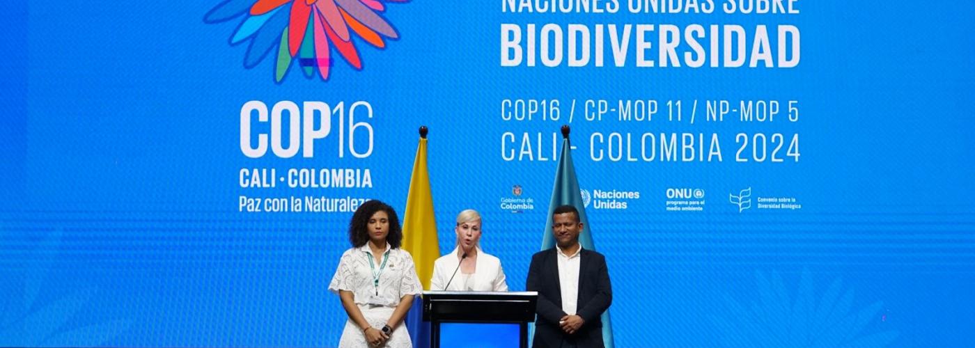 Opening ceremony of COP16 Colombia