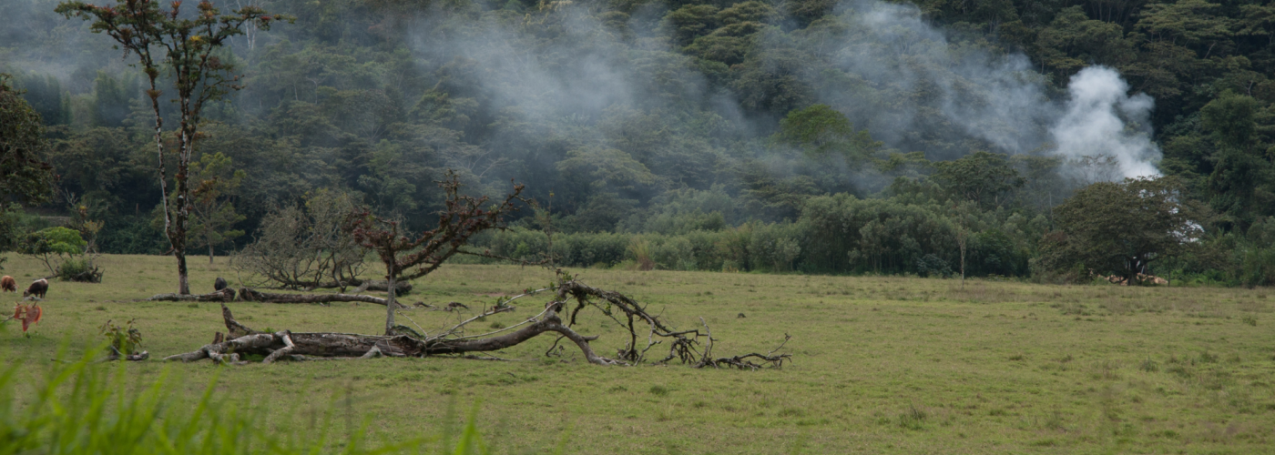 Peru forests burning