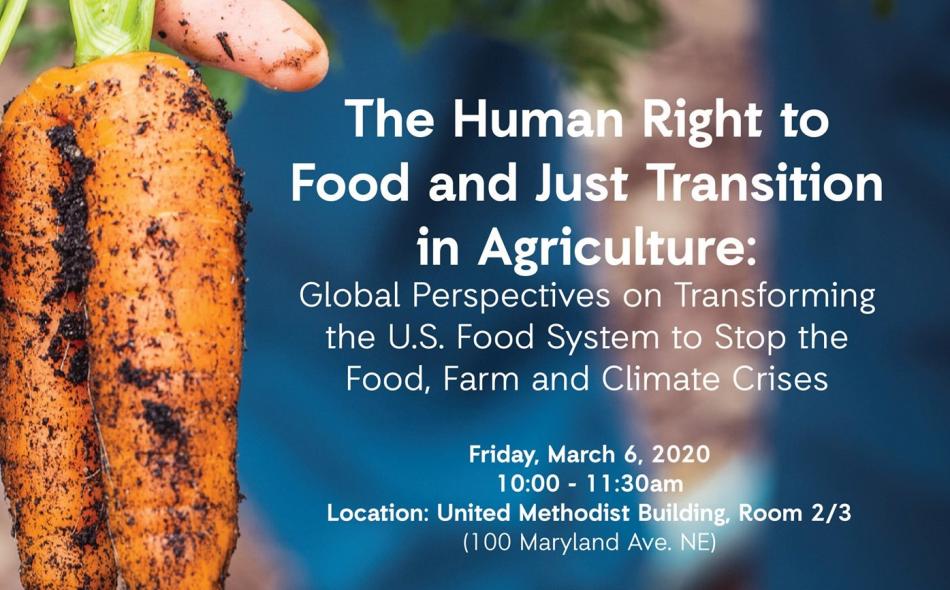 The Human Right To Food And Just Transition In Agriculture: Global ...