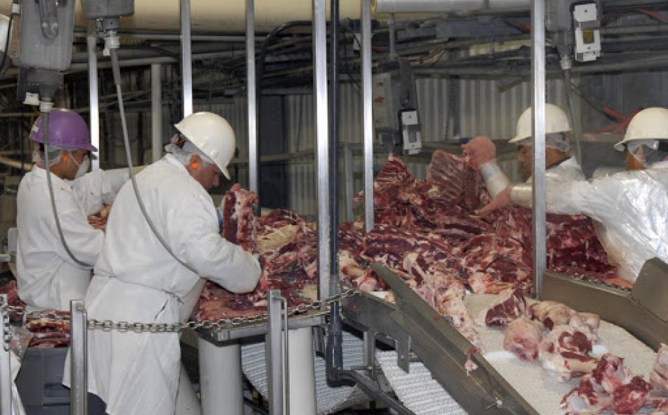 Jbs deals meat packers