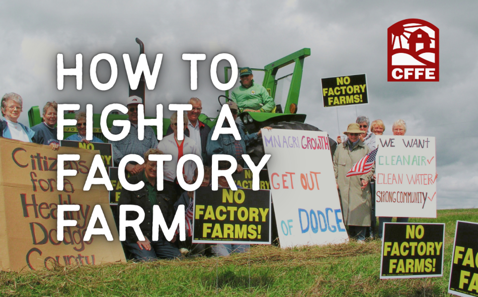 How to Fight a Factory Farm