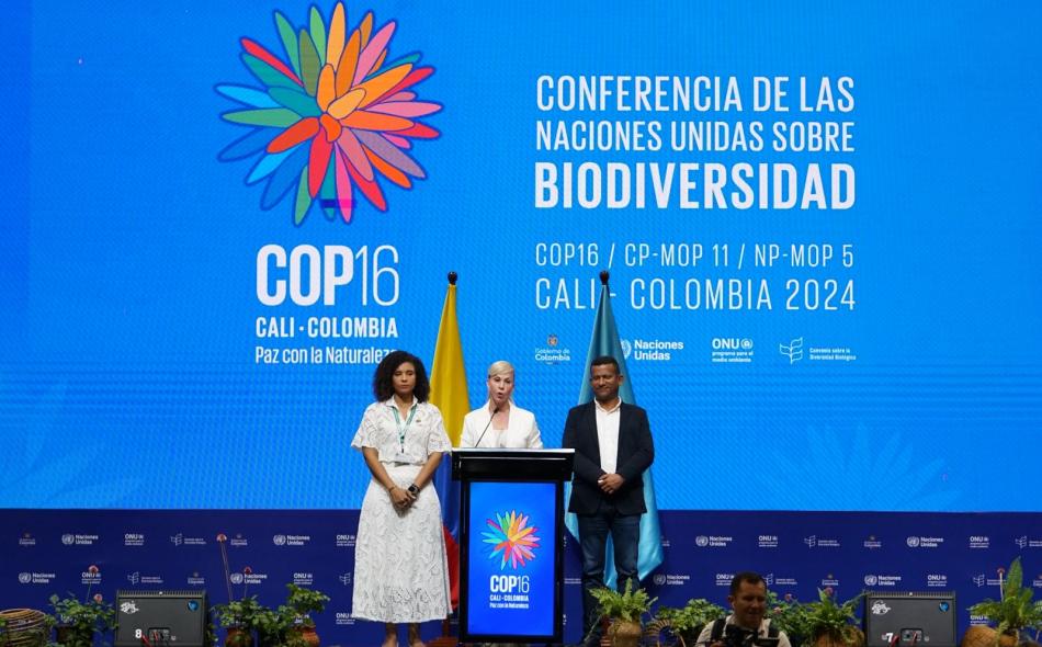 Opening ceremony of COP16 Colombia