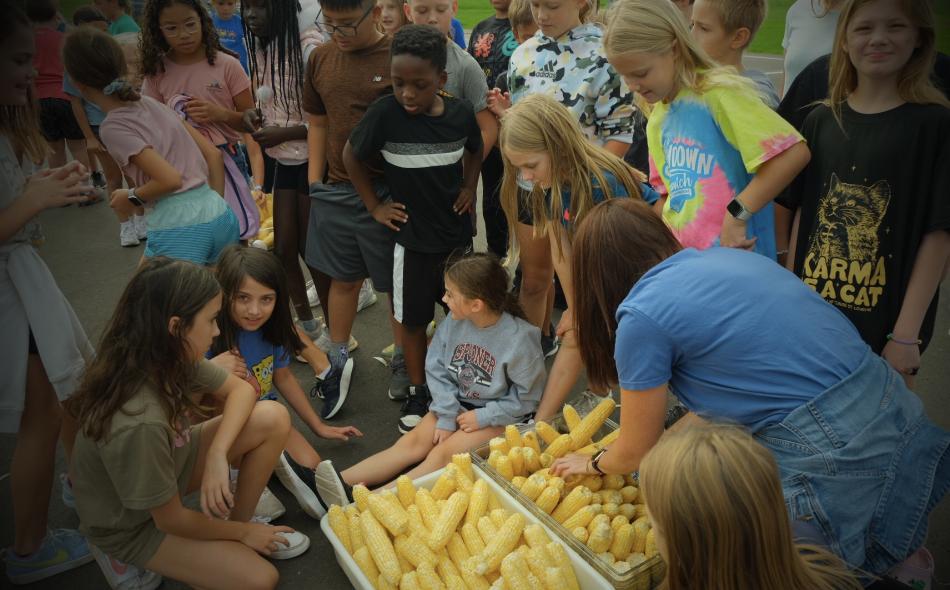 kids and corn