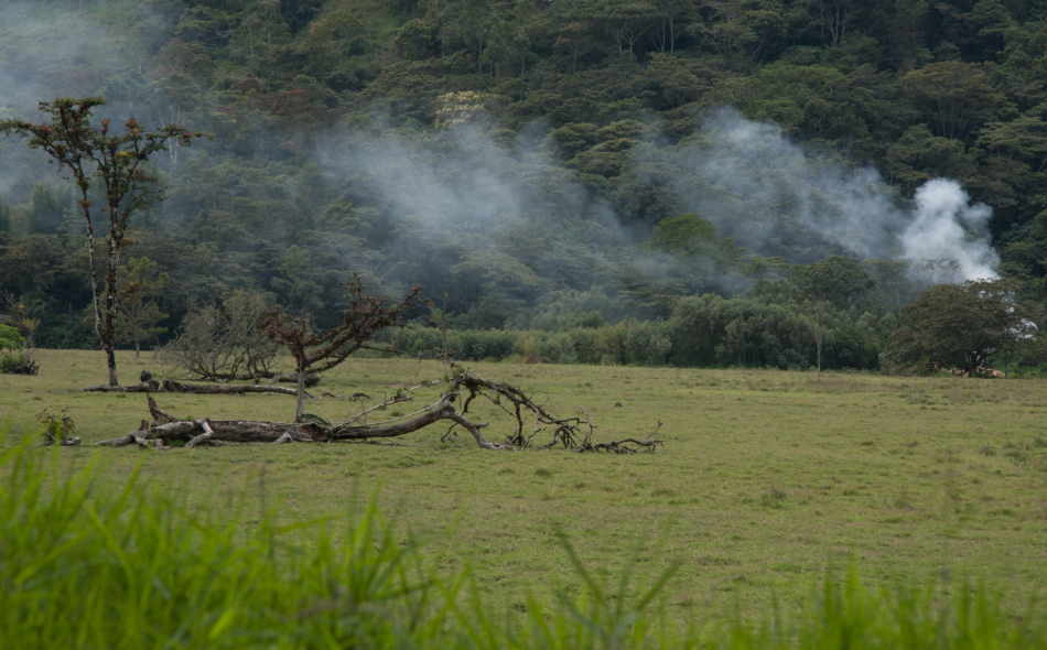 Peru forests burning