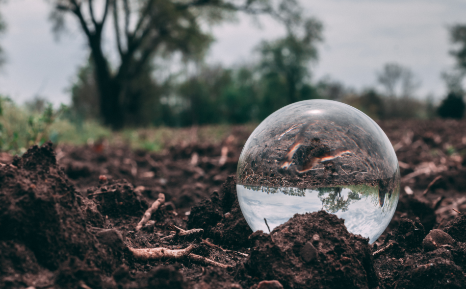 glass ball in soil