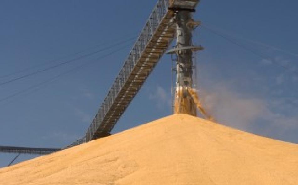 Grain Reserves in an Unstable Climate