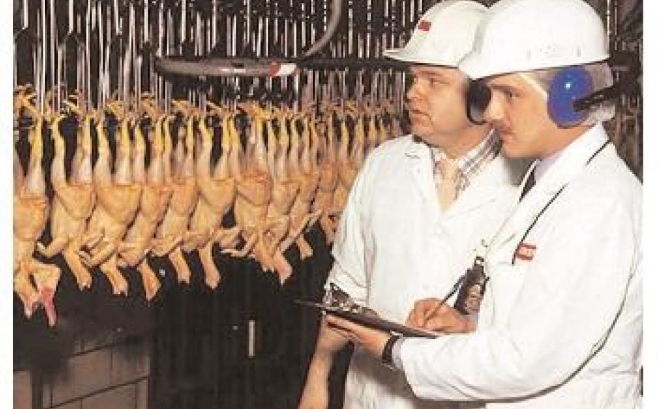 TTIP webinar series: Trade rules for poultry and pork: safe for whom?