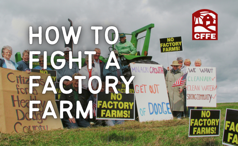 How to Fight a Factory Farm