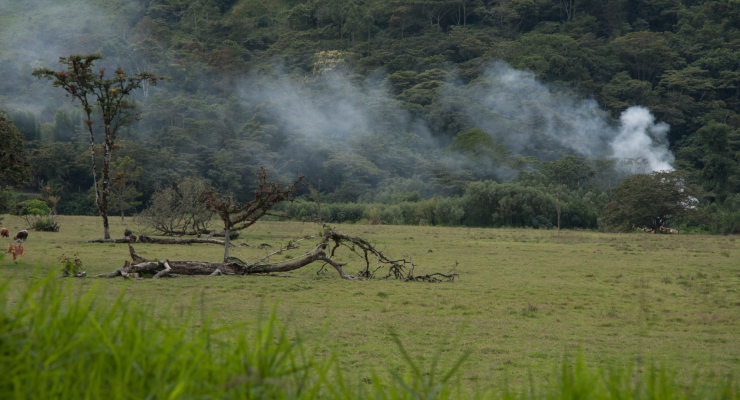 Peru forests burning