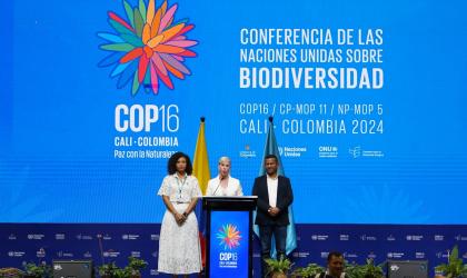 Opening ceremony of COP16 Colombia