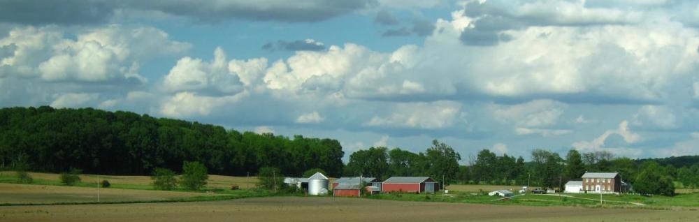 Agriculture & Food Systems | IATP