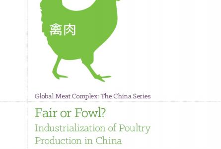 Fair or Fowl? Industrialization of Poultry Production in China