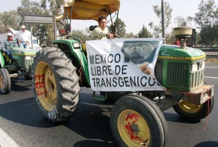 Monocultures of the Genetically Modified Mind: My surreal encounter with Monsanto in Mexico