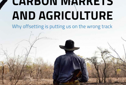 Carbon Markets Brief Cover 