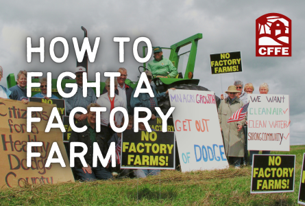 How to Fight a Factory Farm