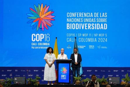 Opening ceremony of COP16 Colombia