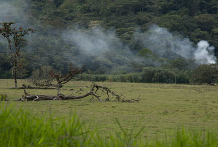 Peru forests burning