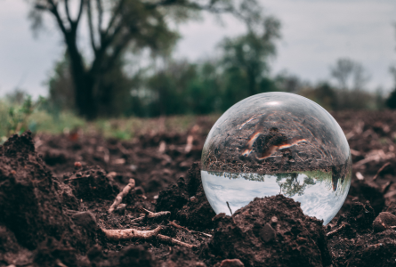 glass ball in soil