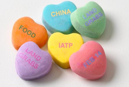 Be our Valentine and learn about global land grabs at IATP